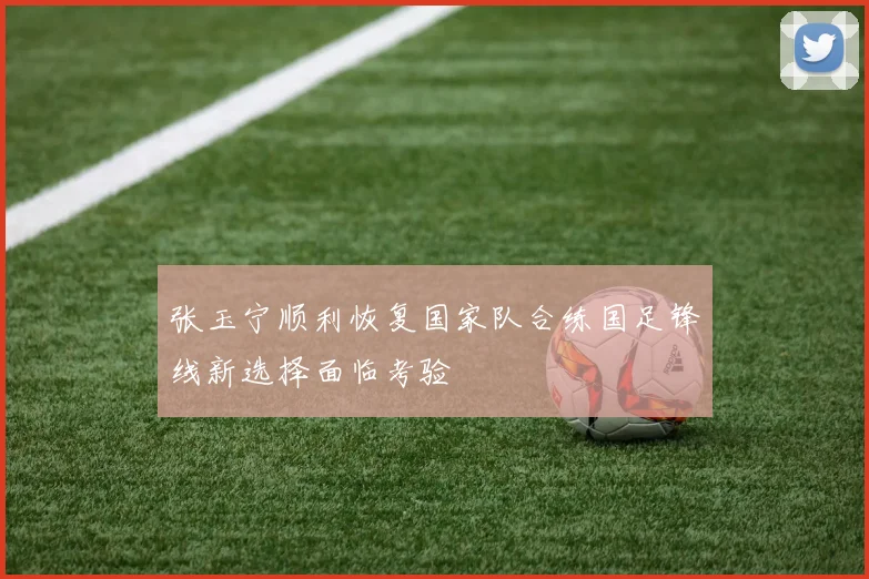 张玉宁顺利恢复国家队合练国足锋线新选择面临考验