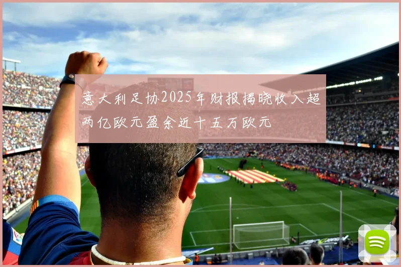 意大利足协2025年财报揭晓收入超两亿欧元盈余近十五万欧元