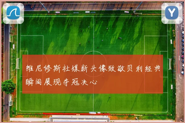 维尼修斯社媒新头像致敬贝利经典瞬间展现夺冠决心