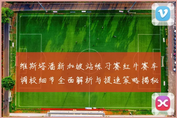 维斯塔潘新加坡站练习赛红牛赛车调校细节全面解析与提速策略揭秘